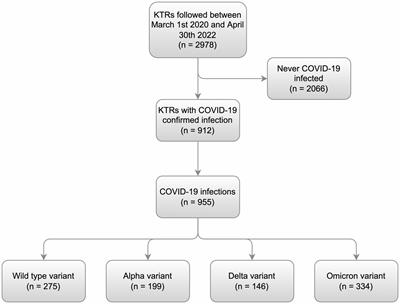 Early referring saved lives in kidney transplant recipients with COVID-19: a beneficial role of telemedicine